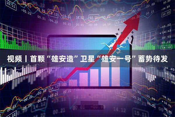 视频丨首颗“雄安造”卫星“雄安一号”蓄势待发