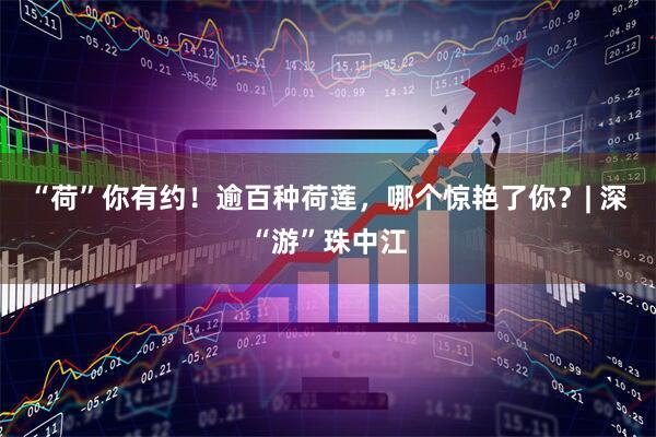 “荷”你有约！逾百种荷莲，哪个惊艳了你？| 深“游”珠中江